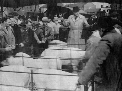 Bill Harding Young in the mid-1950s